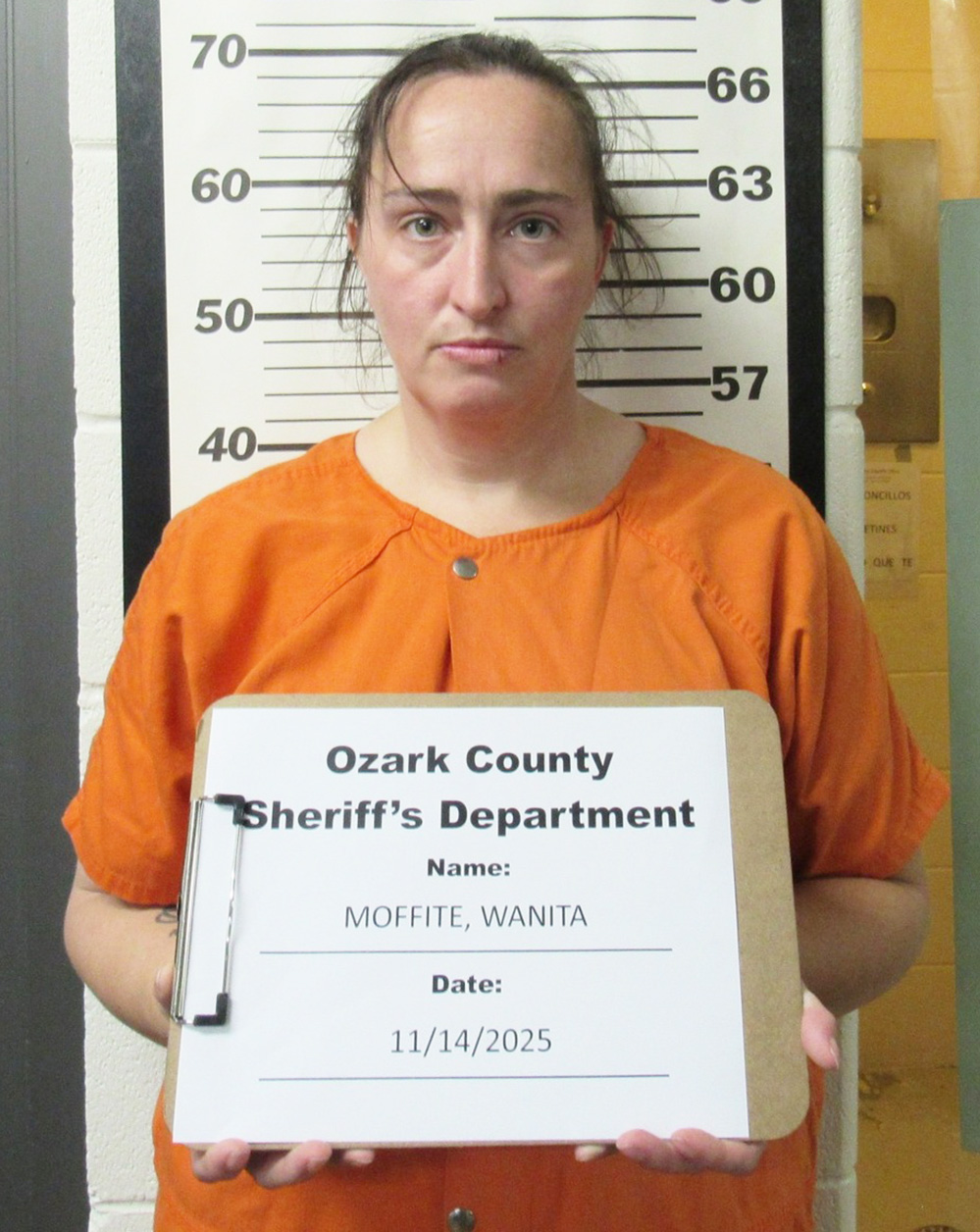Traffic stop results in meth charge | Ozark County Times