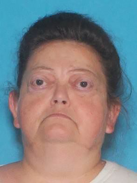 Missing woman found safe after 10 hours thanks to local teen and his ...