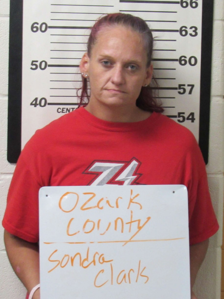 Gainesville woman indicted for murder of 3-month-old baby | Ozark ...