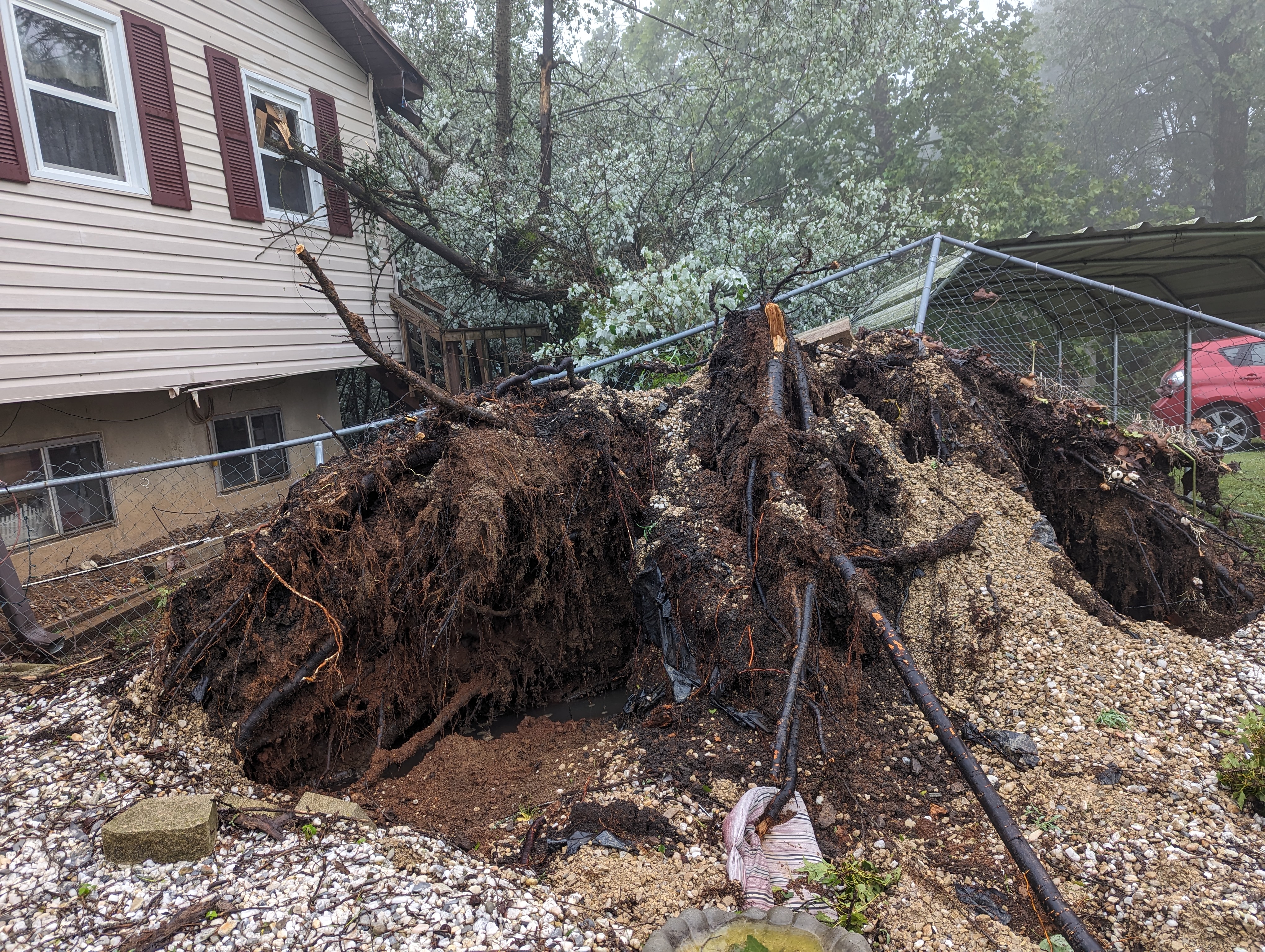 NWS rules storm damage here caused by straight-line winds | Ozark ...