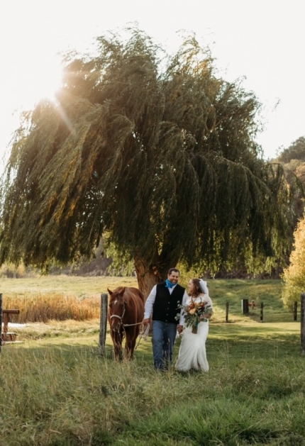 Veterinarians' first five years here started with a 'whirlwind' that ...